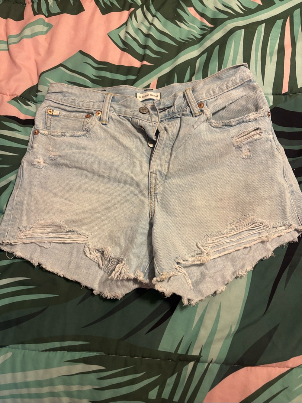 American Eagle Outfitters Light Wash Distressed Denim Shorts